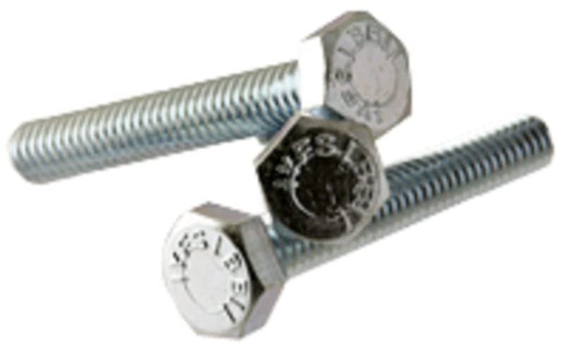 1/4-20X2 Hex Tap Bolts | 18-8 Stainless Steel (Quantity: 100)