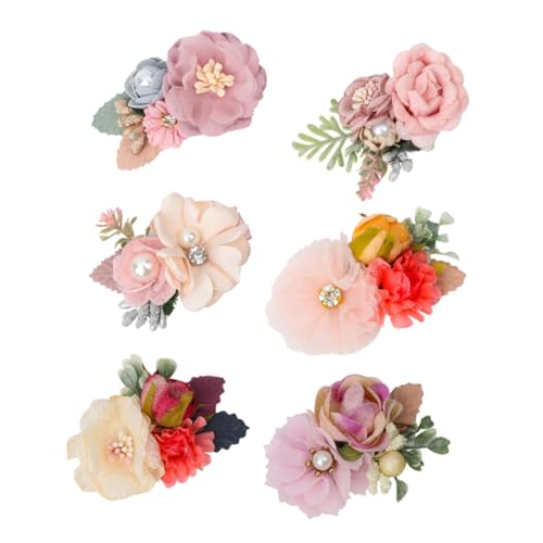 PENIKOKO 6 ȖSRRbfމԏ_ q wAs \  LbYpwAANZT[