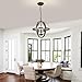 DLLT Vintage Pendant Hanging Light Fixtures, Flush Mount Ceiling Chandelier Lamp with Metal Spherical Shade for Kitchen, Dining Room, Living Room, Hallway, Entryway 3-Light, E12 Base-Matte Black