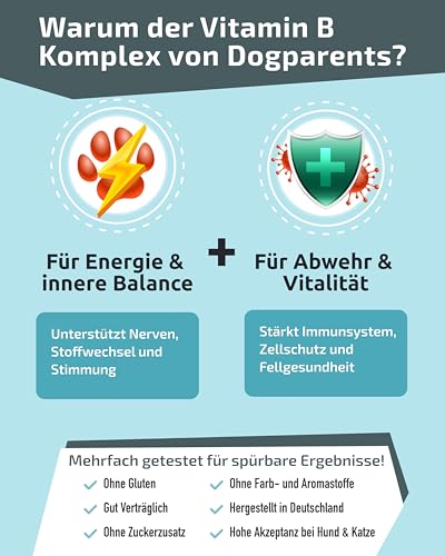 Vitamin B Komplex Hund & Katze [MADE IN GERMANY, ZUCKERFREI & LABORGEPRÜFT] Alle 8 B Vitamine für Hunde B1, B2, B3, B5, B6, B9, B12, K3 unterstützt Nerven, Energie, Fell & Immunsystem (60g (1er Pack))