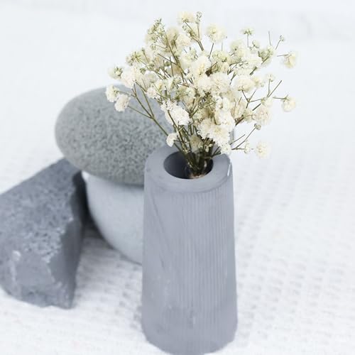 Set de 50 tallos de Gypsophila seca para decoración miniatura 4