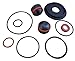 Watts 009M2 3/4" Complete Total Rubber Repair Kit 0886999 886999 RK 009M2 RT