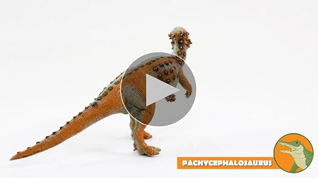 Amazon.com: Safari Ltd. Pachycephalosaurus Figurine