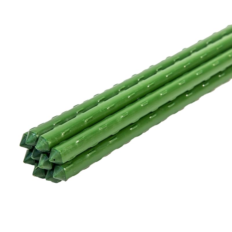 Grow Tools Plant Support Stakes Heavy-Duty Garden Canes for Tomatoes Peppers Climbing Plants & Vegetables 3ft 4ft 5ft 6ft (10 Pack) Weatherproof Garden Supports (3ft (90cm) Pack of 10)