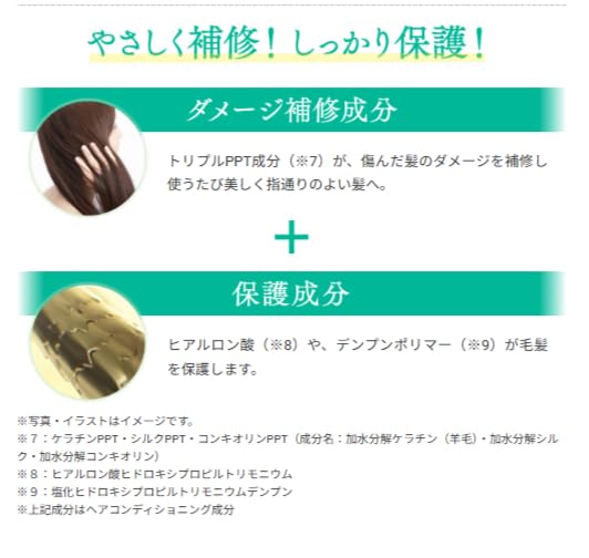 Amazon | Sastty[白髪用] 利尻ヘアカラートリートメント 200g