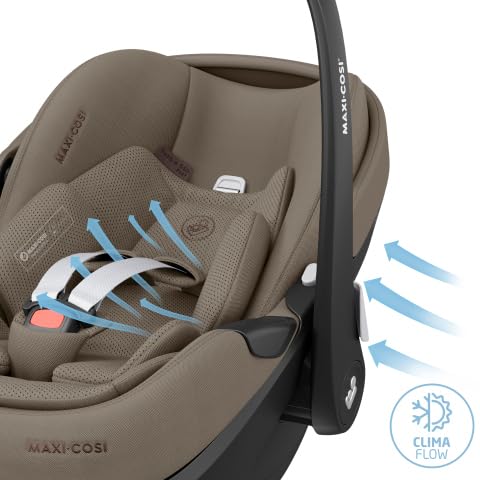 Maxi-Cosi Rodi XR Penguin 64601051 Siège auto Groupe II et III (15-36 kg), de 4 à 12 ans environ