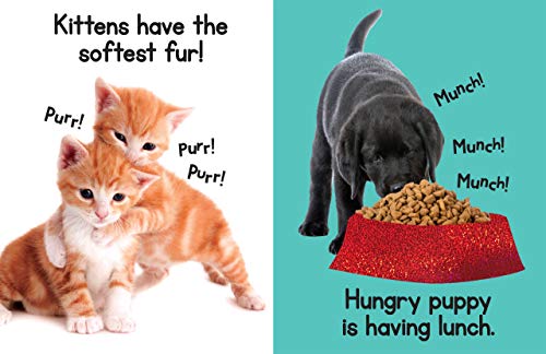 Puppies & Kitties - Touch And Feel Board Book - Sensory Board Book #TOP4