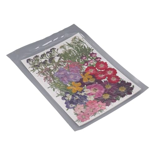Flores Secas Prensadas, 18 Tipos de Flores Prensadas Elegantes e Versáteis Com 2 Adesivos para Artes