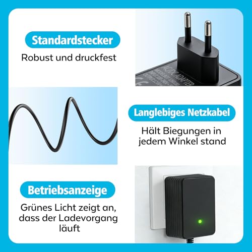 Chargeur de courant constant pour robot de piscine Steinbach Poolrunner alimentation 12.6V - 6
