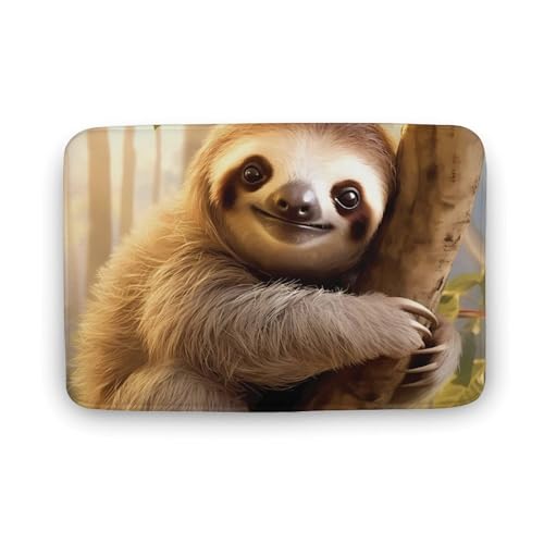 Sloth Animal Coral Velvet Rugs Non-Slip Bathroom Rugs Soft Kitchen Rug Floor Carpet for Home Decor 15.7