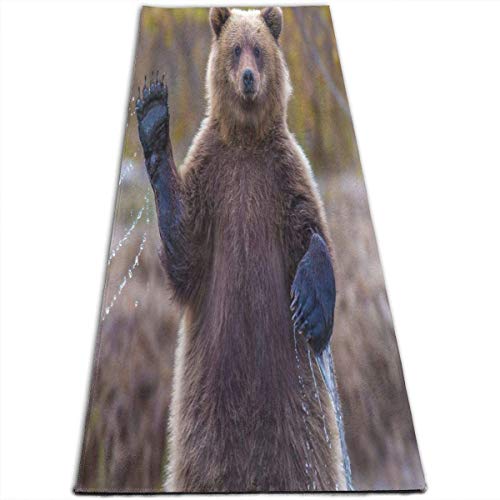 Llynice Yoga Mat Hello Animal Waving Nature Bear Custom Personalized 1 4-Inch Thick Exercise Mats For Pilates,Fitness & Workout