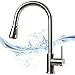 Meifan Küchenspüle Wasserhahn mit Pull-Down-Spray, einfache Installation, 3 Spray-Muster, eine Hand herausziehen Bogen Küchenarmatur, Küchenspüle heiß & kalt Mischen Wasserhahn…