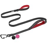 VIVAGLORY Dog Leash Lighthook Double Handle Dog Leash with Traffic Handle & Locking Carabiner for...