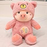 ❤ Diseño lindo y diferentes tamaños: el diseño y el tamaño de este juguete de peluche son diferentes, muy lindos. Dulce, cómodo y cálido. Múltiples estilos y tamaños para su elección.
