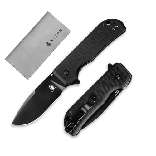 Kizer Nice Guy Pocket Folding Knife, 2.84” D2 Steel Blade knives, G10 Handle Small EDC Knife, Liner Lock Flipper Knives for Men Women, Sharp Camping Hiking Hunting Survival Knives V3011M1