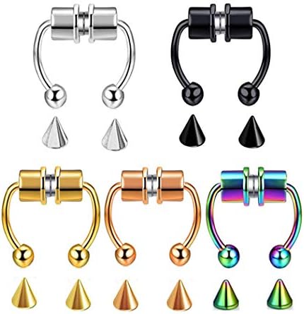 ZHQI Fake Nose Ring Hoop Magnetic Septum Nose Ring Horseshoe Stainless Steel Faux Fake Nose Septum Rings Non-Pierced Clip On Nose Hoop Rings (D-5pcs Colors)