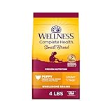 Wellness Complete Health Small Breed Puppy Dry Dog Food, Wholesome Grain Kibble, Natural, Turkey, Oatmeal, and Salmon Recipe, 4 lb Bag