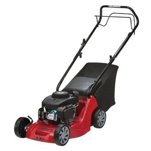 Sanli Lawn Mower Review 2020 2021