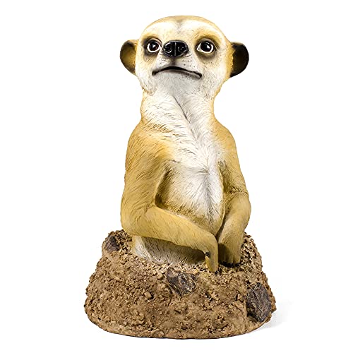 Statue de modèle de suricate : le cadeau idéal pour les amoureux de jardinage et de nature