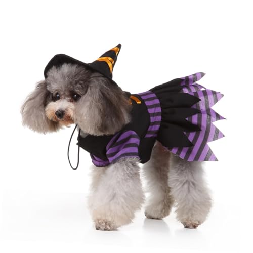 Disfraz de Bruja para Perros Halloween SHINEOFI L