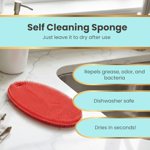 Image of Silicone Sponge Dish Scrubber - Food Grade and Housecleaning - BPA Free Silicone Kitchen Scrubber [5 Pack Ovals Summer]