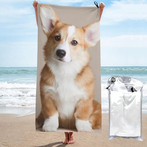 R[M[ }CNt@Co[唻X[p[\tgoX^I zedlGXeT^I