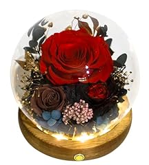 Red Rose, Brown Rose, Black-Red Austin Rose