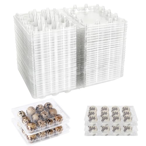 Oungy Lot de 60 boîtes à œufs de caille - 12 grilles - En plastique transparent - Avec couvercle - Réutilisables