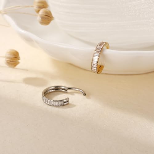 FUNLMO 316L Surgical Steel Hinged Segment Ring Conch Helix Septum Piercing Jewelry Nose Ring Hoop Huggie Earrings Small Hoop Earring4