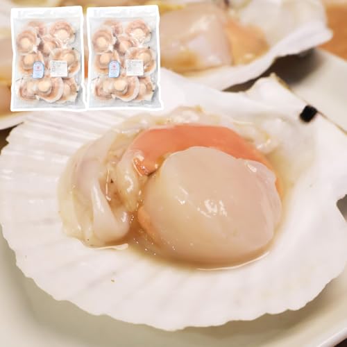 VIVID LIFE ق ЊL 10×2 LTCY Hp kCY Ⓚ hg o[xL[ BBQ H  il^ z^e  kt