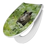 banjado® Premium Toilettendeckel mit Absenkautomatik 44x37cm mit Motiv Wildschwein - WC Brille Soft Close - hygienischer Toilettendeckel/Klodeckel Duroplast mit Edelstahl Scharnieren