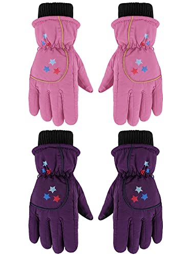 Hicarer 2 Pairs Kids Waterproof Winter Snow Gloves 2Color 3-6Y Star