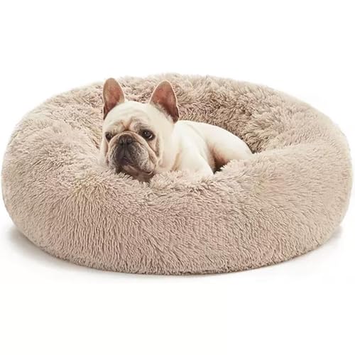 Washable Dog & Cat Bed for Ultra Large Small Medium Size Pet Calming Donut Round Cute Warming Mat House Supply Indoor 8 Sized Deal Necessity Essential Furniture for Boy Girl Puppy Kitten kitty