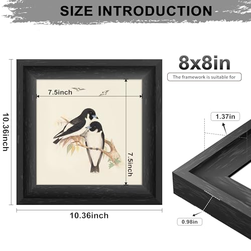 Image of 8x8 Picture Frame Black, 1.37-Inch Curved Extra Wide Edges, Vintage Style Picture Frame 8x8 inches for Wall Decor