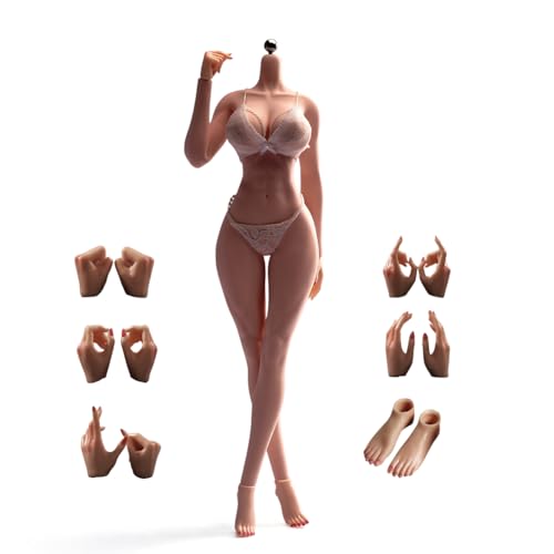 RoofWorld 1/6 Scale Female Body, 12inch Muscler Fitness Seamless Body Super Flexible Seamless Suntan Skin Figure Stainless Steel Skeleton Miniature Soldier Action Figure Model Collection Doll