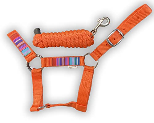 HalterUp Miniature Donkey Halters and Lead Ropes (2 Item Bundle) Available in 10 Colors (Orange, Large)