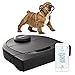 Price comparison product image Neato Robotics D450 Robotic Vacuum Cleaner Pack, Corner Cleaning Robot Vacuum with D-Shape + Exclusive Pet Accessories for Carpet and Hard Floors, App/Alexa compatible