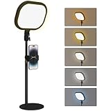 ÉCLAIRAGE MODULABLE : Profitez d'une tête de lampe de bureau pivotante à 180° et d'un mât réglable en hauteur de 27 à 47 cm, pour un éclairage qui s'ajuste selon vos nécessités. Inclut un porte-téléphone pour une efficacité accrue et une capacité à effectuer plusieurs tâches simultanément.