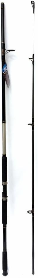 Jarvis Walker Aurora 10ft Surf Rod 2 PC 4-6oz