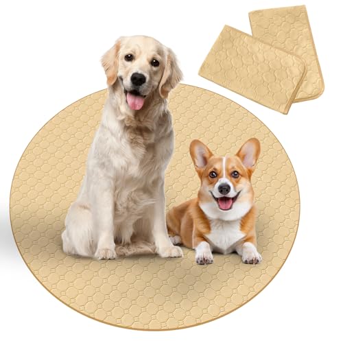 Para Sora 􂦂 ybgV[c ی^ L p 2Zbg(a90cm) ~ h ybgV[c p`ybgT[NɍœK z L V[c ld\ Rh~  JԂgp\(x[W)