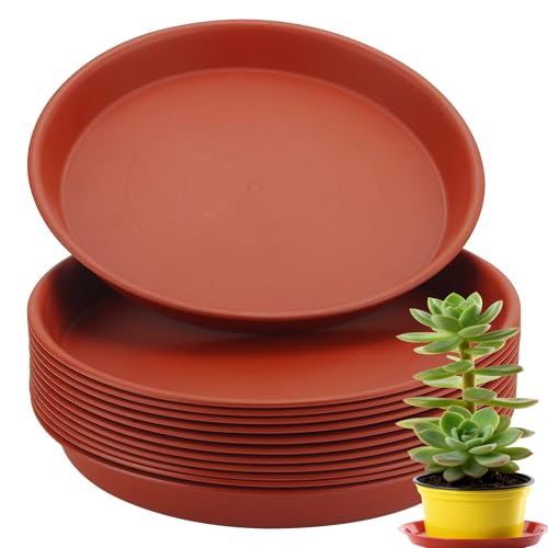 LEXININ 12 PCS Red Plant Pot Saucers, 26cm/ 10 Inch Plastic Round Flower Drip Trays for Indoor Outdoor Garden