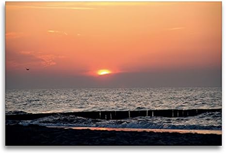 refrigeratori di mosto in controcorrente