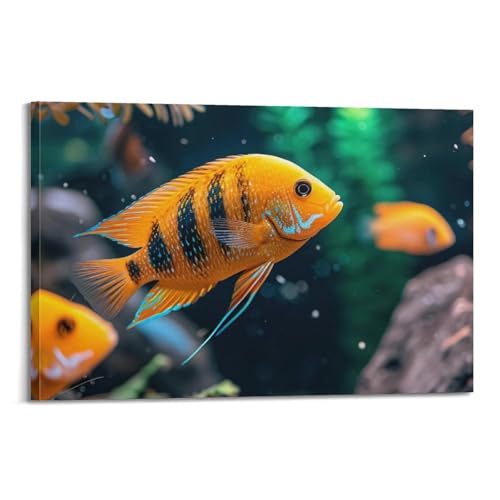 Epinephelus Variegatus poster animal d'art moderne grand format 60x90