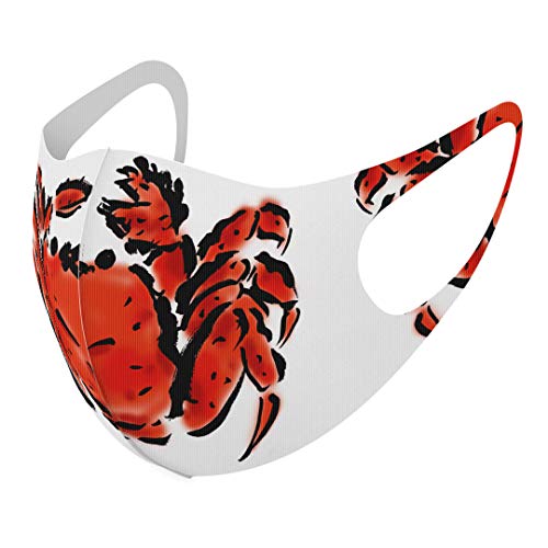 [X}R] fUC }XN QZbg |GXe 􂦂 z}XN XLTCY 傫 jp 013264  C G