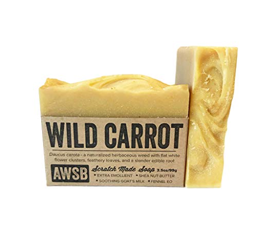 Wild Carrot All Natural, Organic Bar Soap with Goats Milk for Anti-Aging, Handmade by A Wild Soap Bar