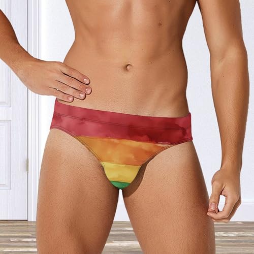 Watercolor LGBT Rainbow Flag Men's Swim Brief Sexy Bikini Swimwear Swimsuit Trunks Bathing Suits4