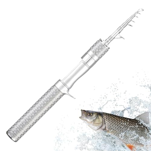 Canne à pêche télescopique en carbone légère et compacte pour voyage