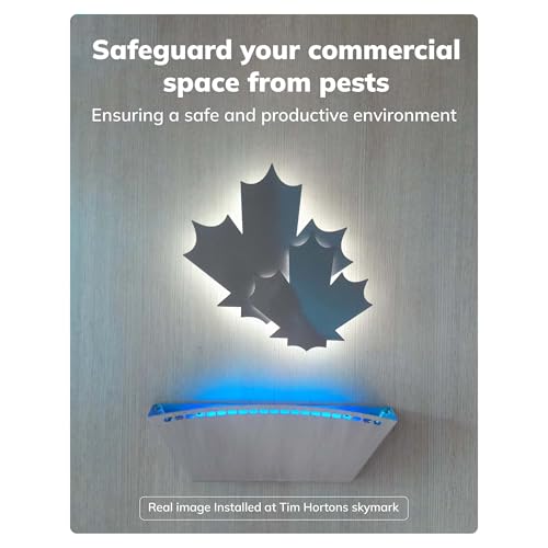 Image of Flying Insect Catcher Uplighter Machine with Blue UV Tube & 3 Glue Pads| Glue Pad Based Insect Control | Silent & Chemical-Free Fly Trap for Home, Restaurants, Hotels & Offices- Grey