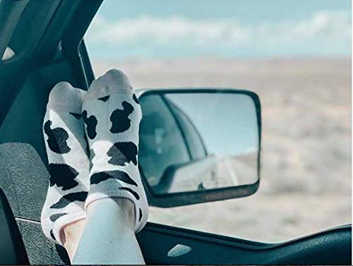 K. Bell Women's Fun Animal Low Cut Socks-6 Pairs-Cool & Cute Novelty Fashion No Show Gifts3