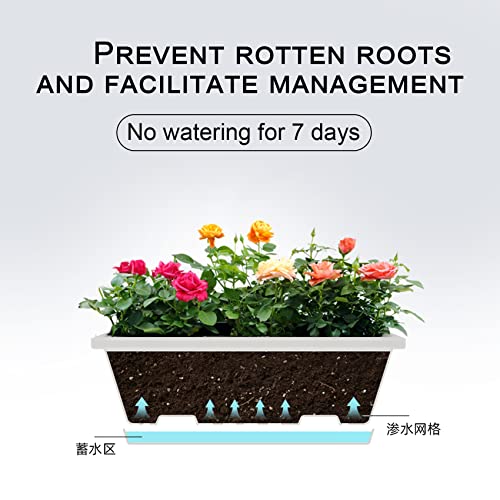 Ticarus 10 Packungen Bonsai Trainings Töpfe mit Tablett Kunststoff Bonsai Pflanzen Anbau Topf für Garten Hof Wohnen Zimmer Balkon 16,5X12Cm - Image 5